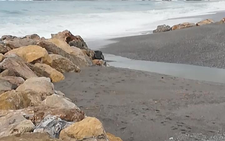 2022 Calabria d'Inverno
