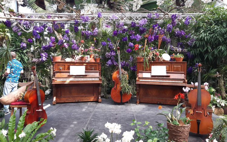 Pasqua 2022 in Olanda
