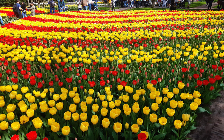 Pasqua 2022 in Olanda