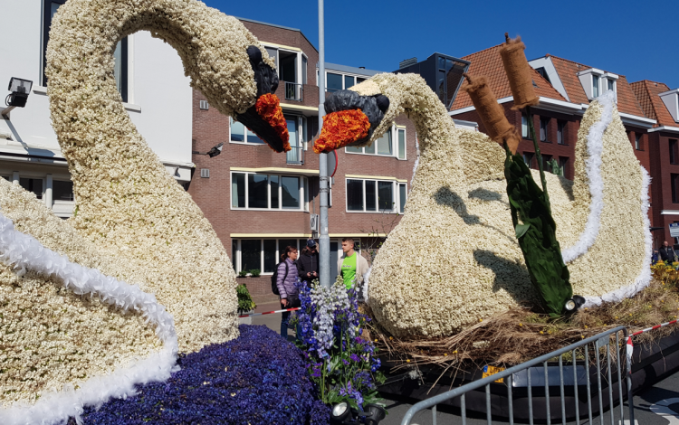 Olanda 2022