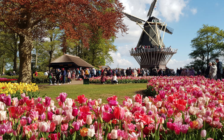 Olanda 2022