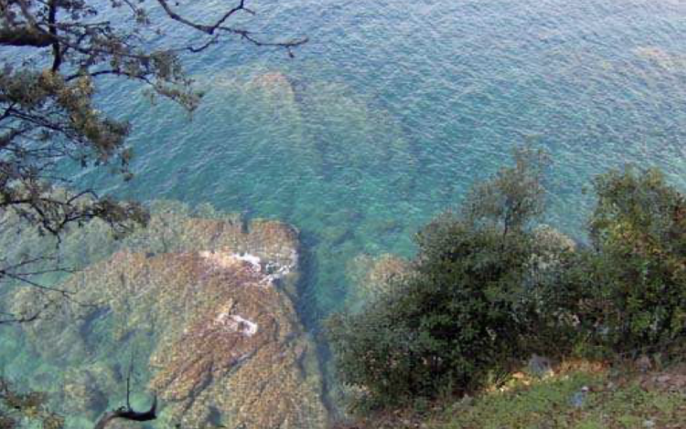 Un weekend in camper alle Cinque Terre 
