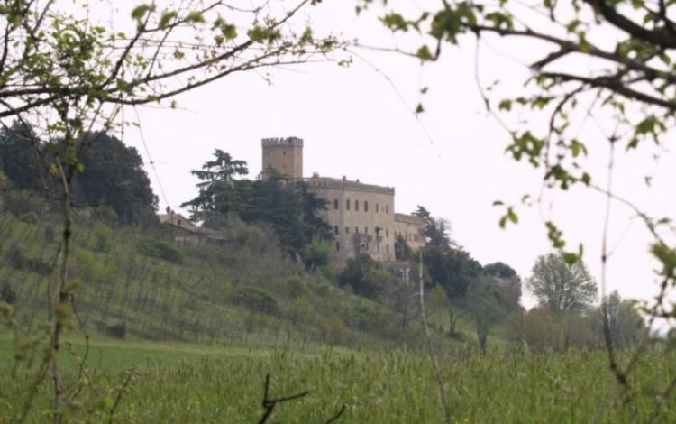 Peppone, Don Camillo e i Castelli 