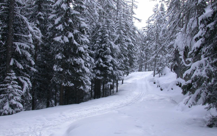 Capodanno a Cortina d'Ampezzo