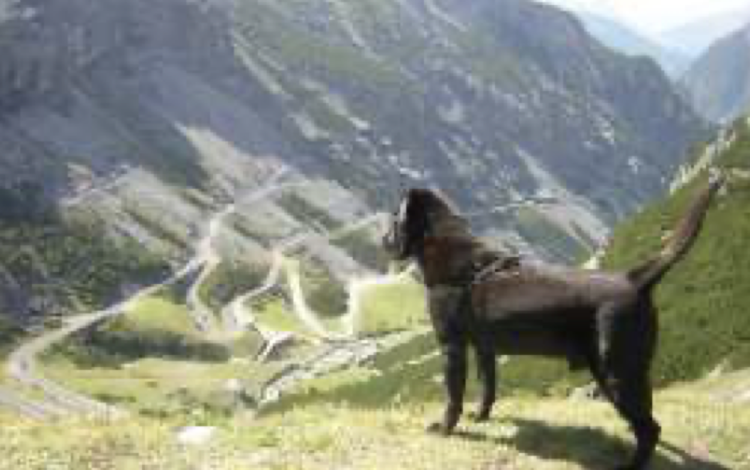 Trentino in camper