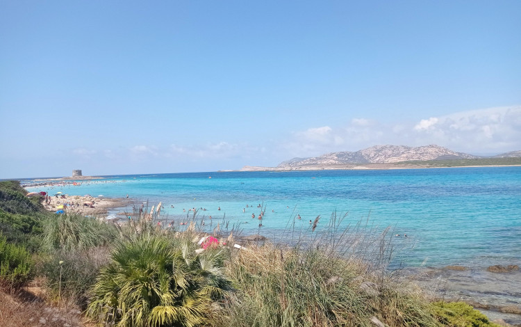 Sardegna 2022