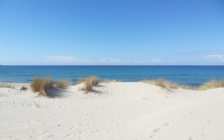 Sardegna selvaggia sud-ovest e Umbria