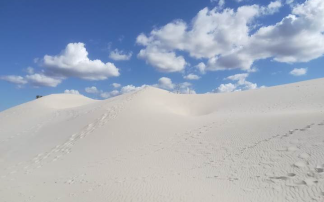 Sardegna selvaggia sud-ovest e Umbria