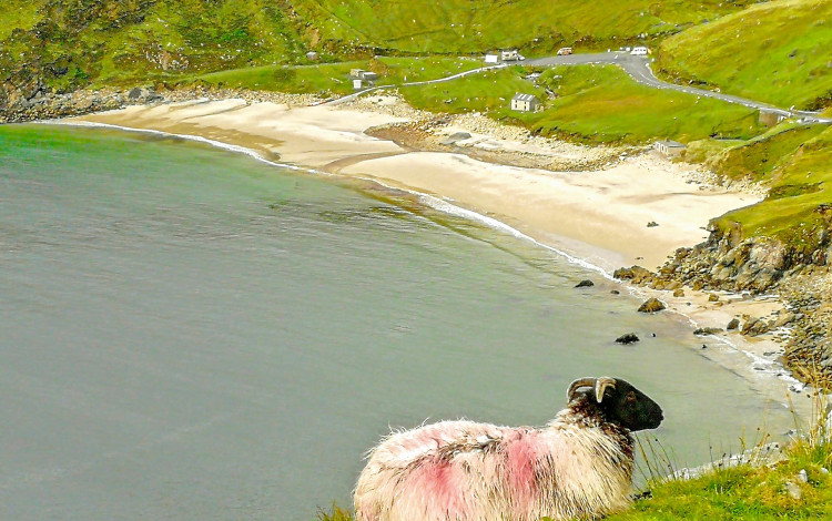 Irlanda 2018 in camper: Welcome to Ireland! 