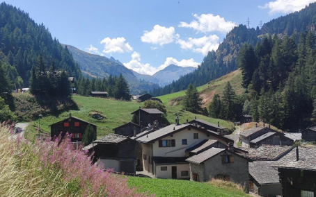 Val d'Aosta, Alsazia, Foresta Nera in camper