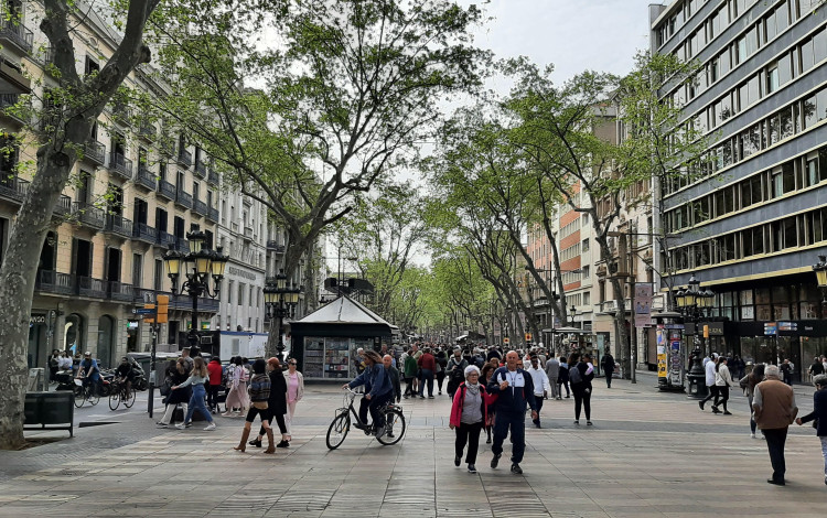 Calimero a Barcellona