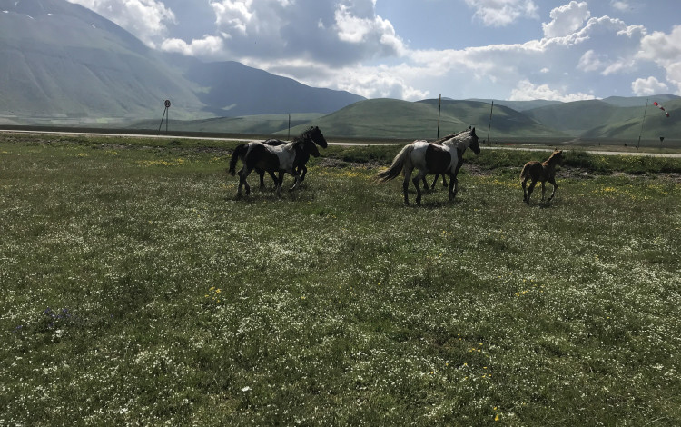 Umbria: Norcia e Castelluccio
