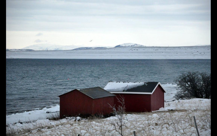 Laika Arctic Experience - Day 25