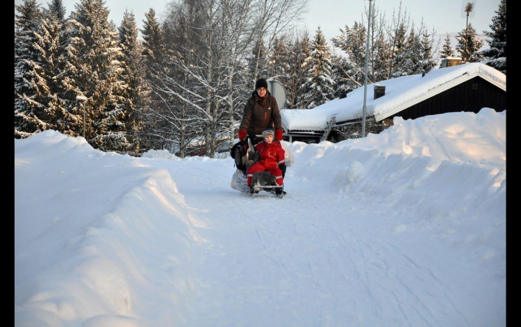 Laika Arctic Experience - Day 10