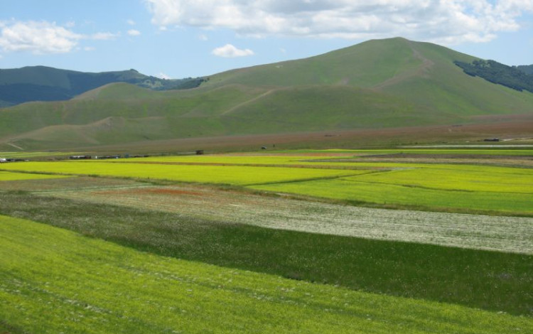 Castelluccio di Norcia