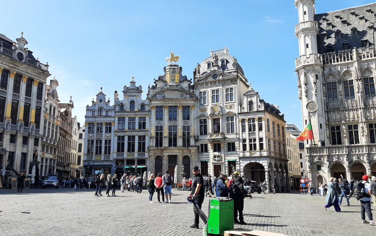 Calimero in Belgio