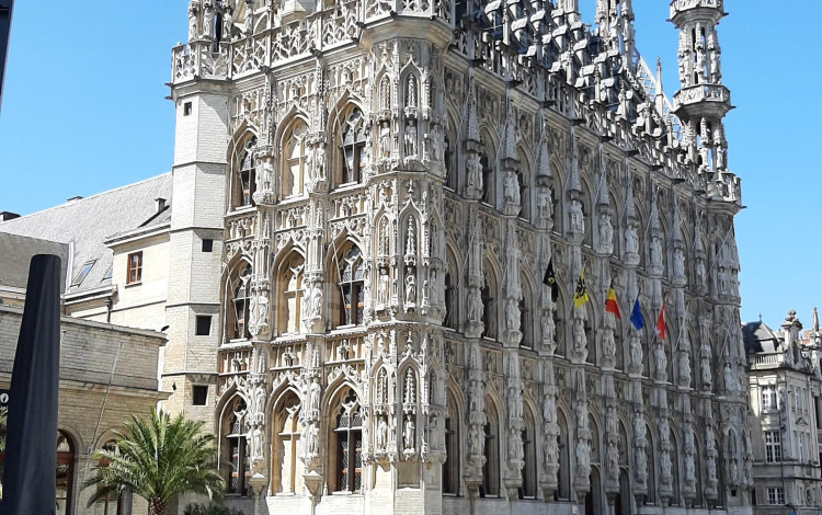 Calimero in Belgio
