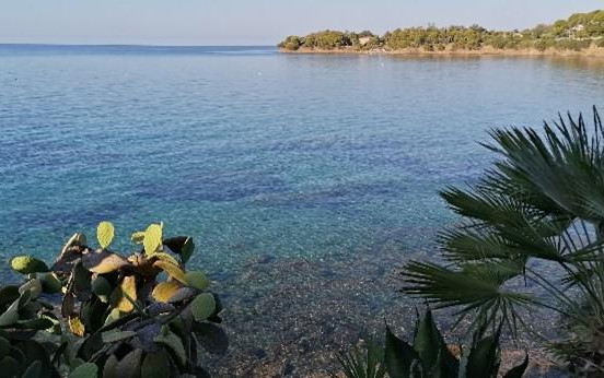 Cilento, 2020