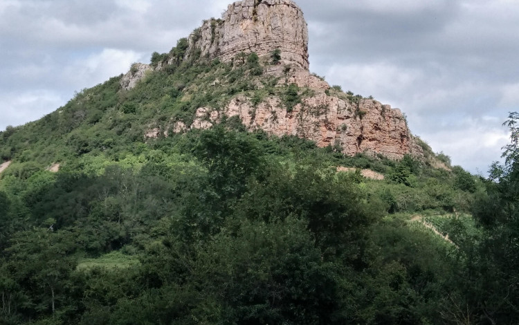 Viaggio in Borgogna 