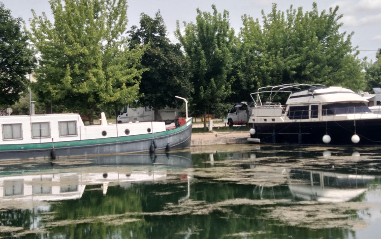 Viaggio in Borgogna 