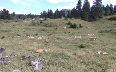 Tra Veneto e Trentino in camper