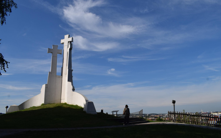 Lituania e Lettonia in van