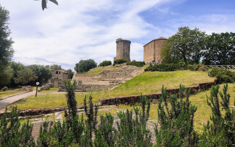Viaggio nel Parco del Cilento e Salerno