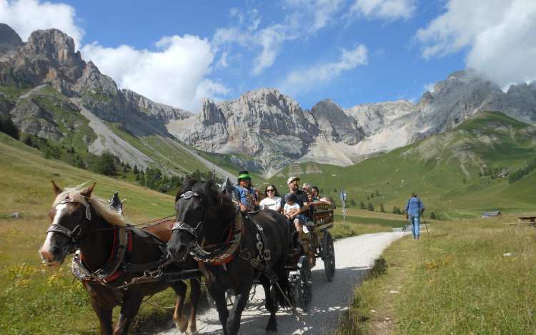 Trentino Alto Adige 2023, in camper