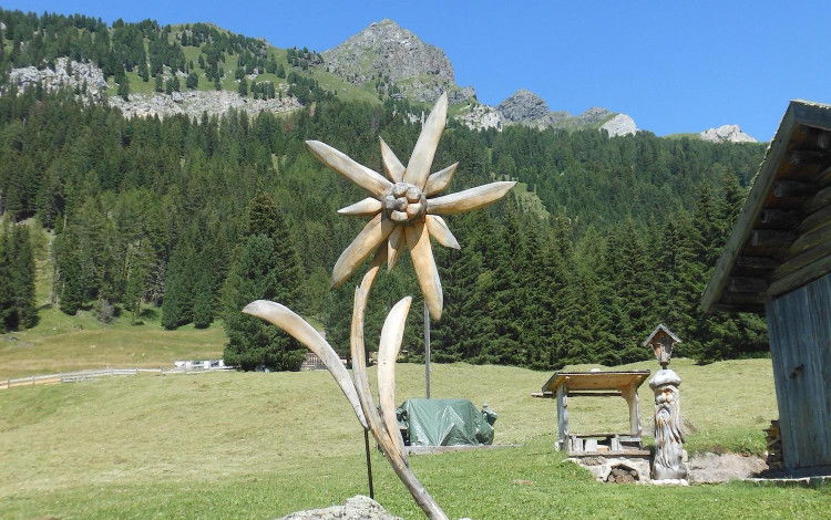 Trentino Alto Adige 2023, in camper