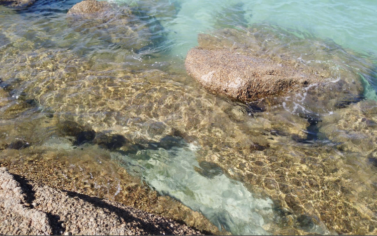 Bretagna: Costa di Granito Rosa in van