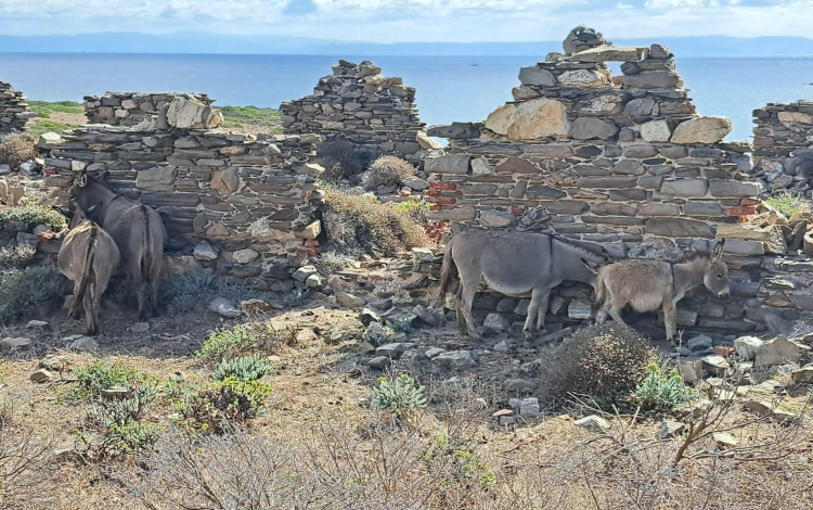 Sardegna in camper: settembre 2025