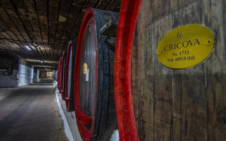 Moldova in camper: in equilibrio fra Europa e URSS