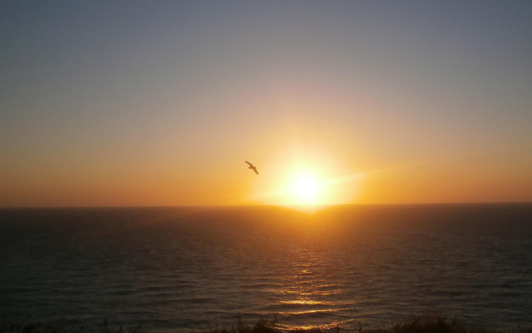 Normandia e Bretagna in camper 2025