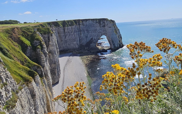 Normandia in camper: là dove la Natura si fonde con la Storia