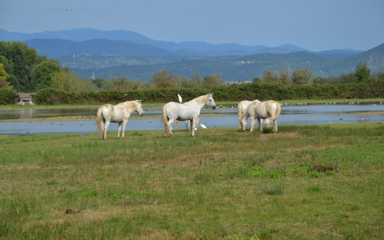 Settembre2019: Croazia Montenegro in camper