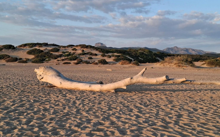 Il paradiso può attendere, la Sardegna no! Tour in camper.