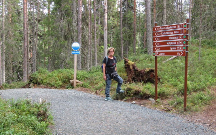 Finlandia in camper: il piccolo sentiero dell'Orso