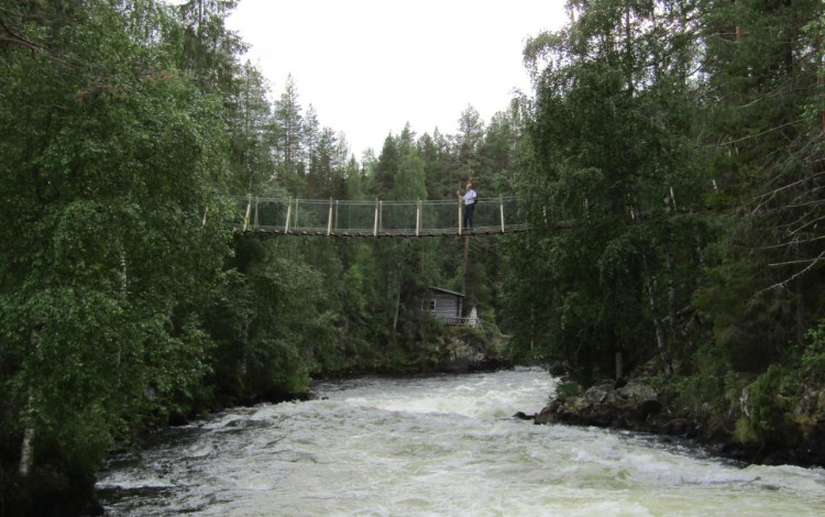 Finlandia in camper: il piccolo sentiero dell'Orso