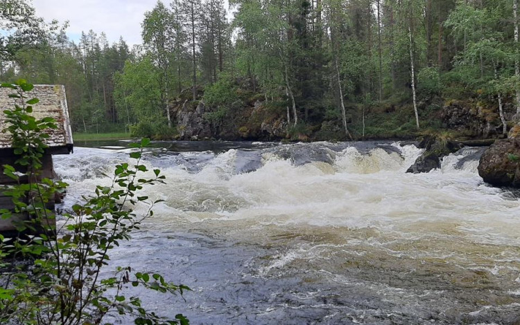Finlandia in camper: il piccolo sentiero dell'Orso