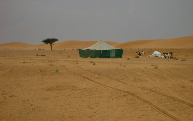 Il grande sogno Africano