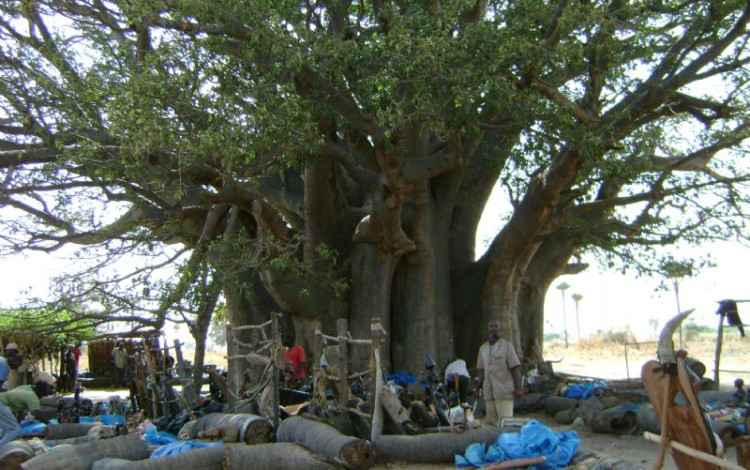 Il grande sogno Africano