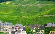 Estate in Germania