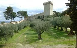 Umbria e riviera del Conero