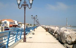 Camargue