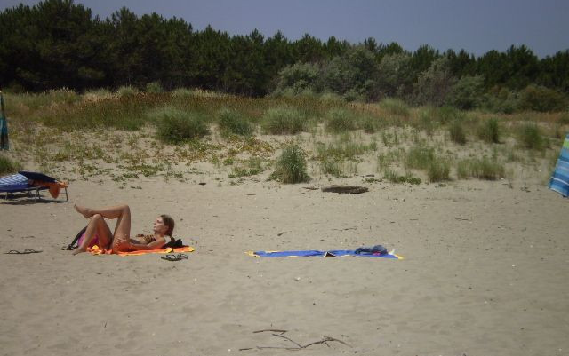 Week End a Casal Borsetti AA mare e pineta