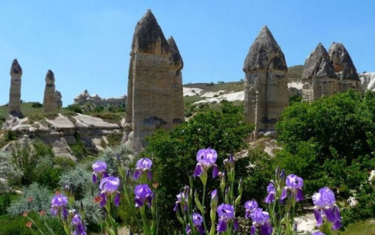 Tour Anatolia