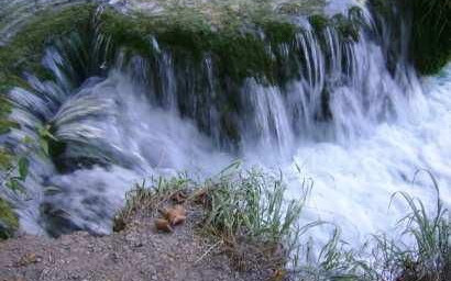 Croazia 2008