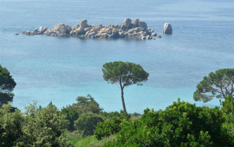 Vacanze in Corsica