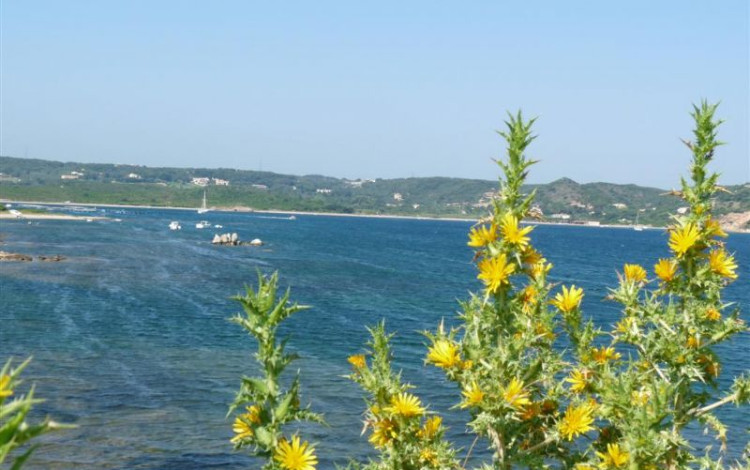 Vacanze in Corsica