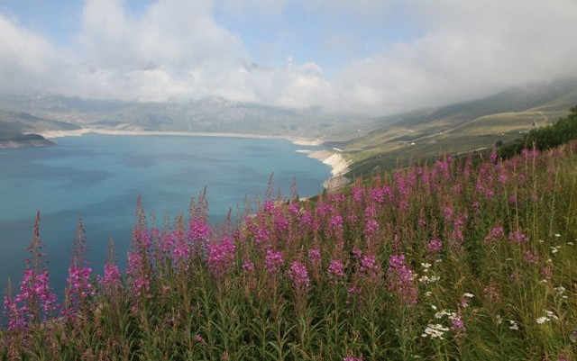 Viaggio in Francia